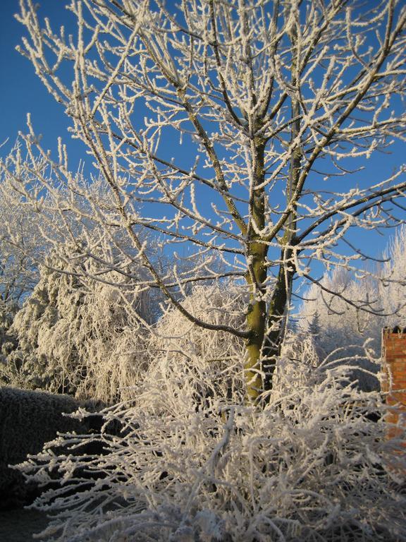 B&B Het Uilennest Bocholt Exterior foto